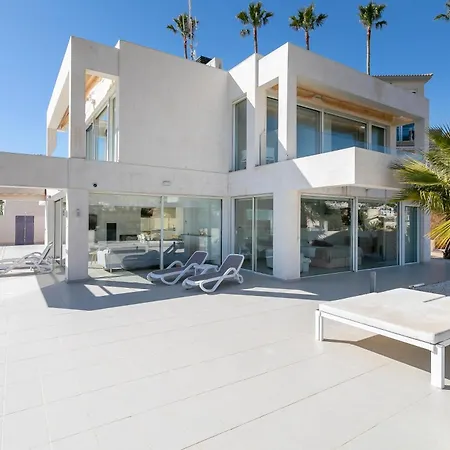 Lizo فيلة إل كامبيلو